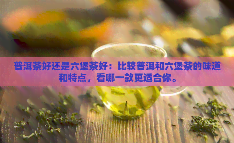 普洱茶好还是六堡茶好：比较普洱和六堡茶的味道和特点，看哪一款更适合你。