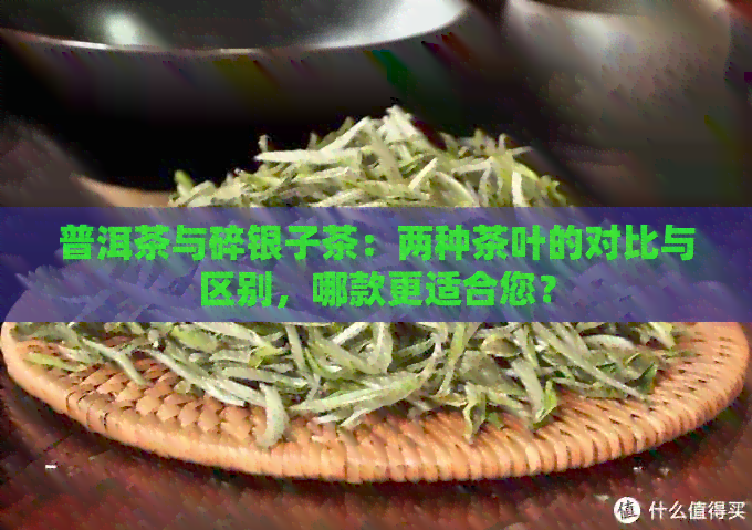 普洱茶与碎银子茶：两种茶叶的对比与区别，哪款更适合您？