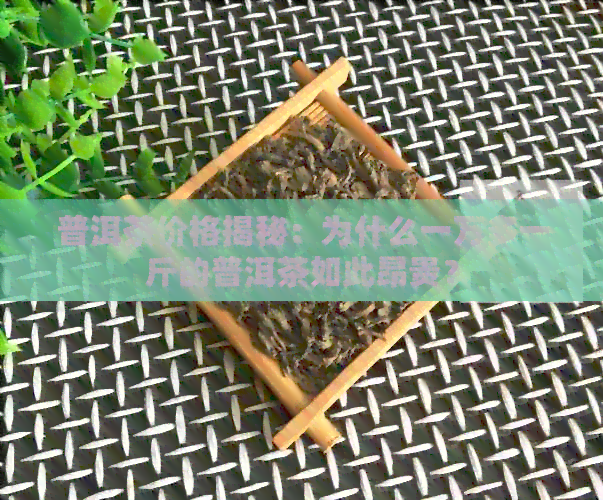 普洱茶价格揭秘：为什么一万多一斤的普洱茶如此昂贵？