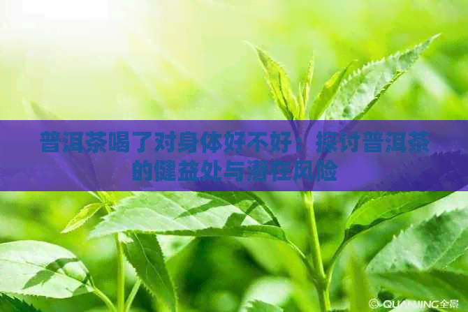 普洱茶喝了对身体好不好：探讨普洱茶的健益处与潜在风险