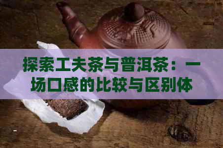 探索工夫茶与普洱茶：一场口感的比较与区别体验