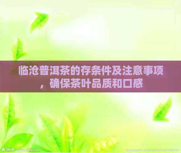 临沧普洱茶的存条件及注意事项，确保茶叶品质和口感