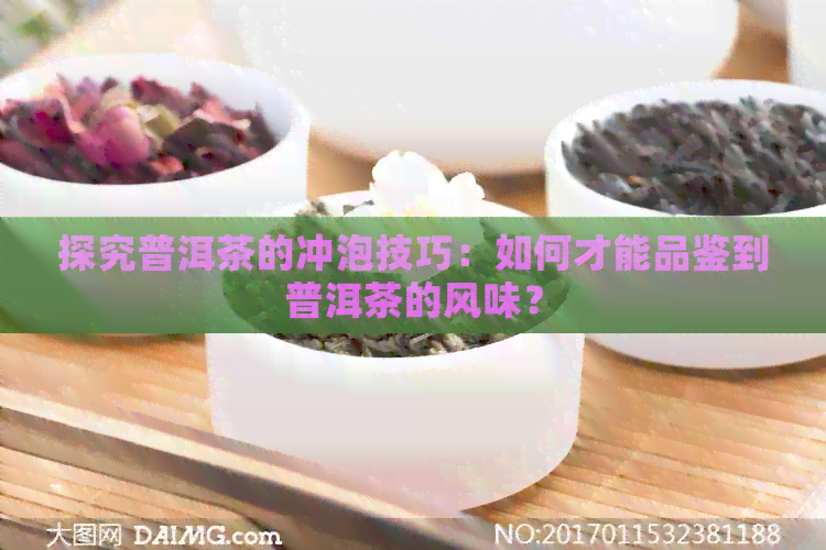 探究普洱茶的冲泡技巧：如何才能品鉴到普洱茶的风味？