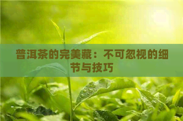 普洱茶的完美藏：不可忽视的细节与技巧