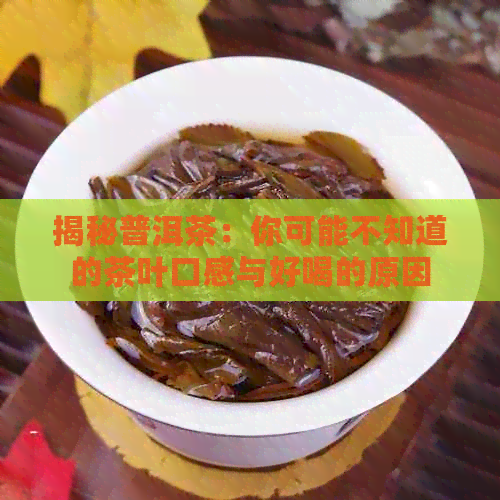 揭秘普洱茶：你可能不知道的茶叶口感与好喝的原因