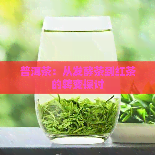 普洱茶：从发酵茶到红茶的转变探讨