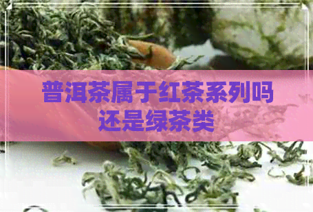 普洱茶属于红茶系列吗还是绿茶类