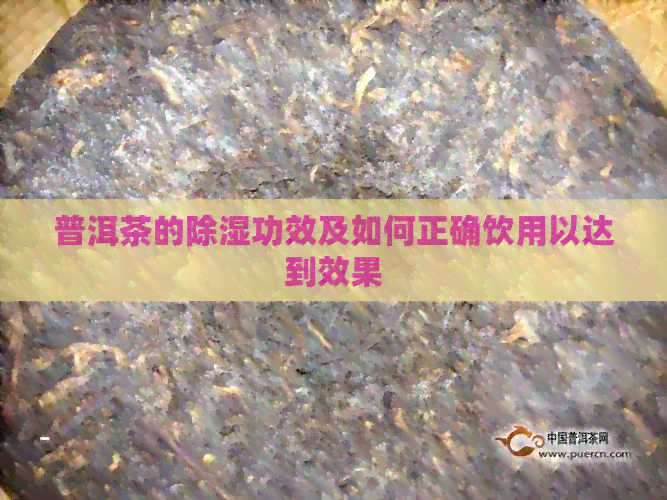 普洱茶的除湿功效及如何正确饮用以达到效果