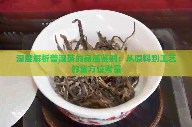 深度解析普洱茶的品质鉴别：从原料到工艺的全方位考量