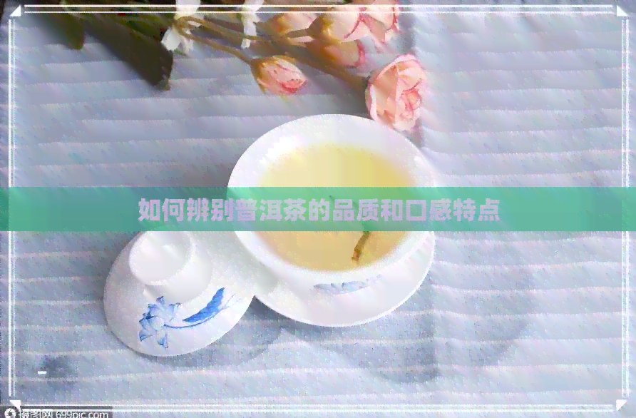 如何辨别普洱茶的品质和口感特点