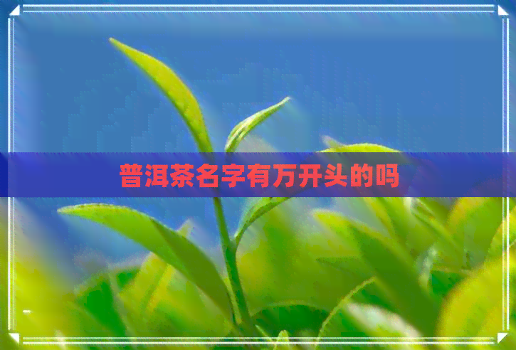 普洱茶名字有万开头的吗