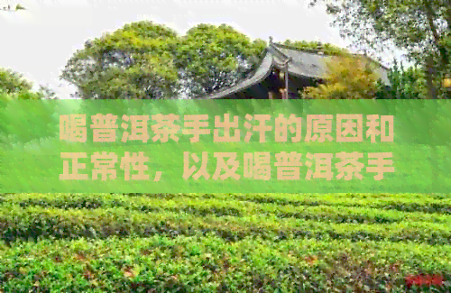 喝普洱茶手出汗的原因和正常性，以及喝普洱茶手发抖和     可能原因。