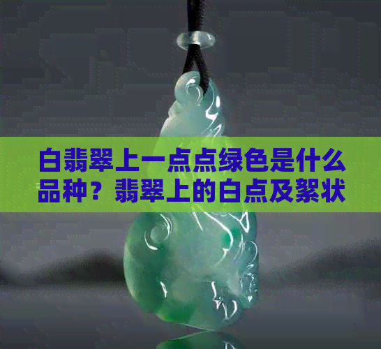 白翡翠上一点点绿色是什么品种？翡翠上的白点及絮状物是怎么回事？