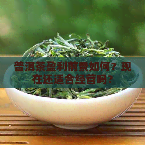 普洱茶盈利前景如何？现在还适合经营吗？