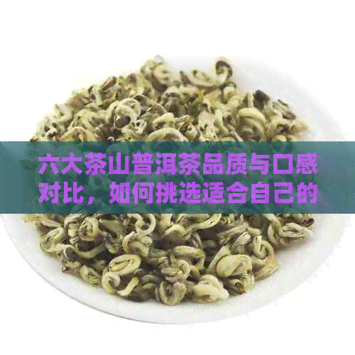 六大茶山普洱茶品质与口感对比，如何挑选适合自己的普洱茶？