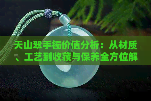 天山翠手镯价值分析：从材质、工艺到收藏与保养全方位解读