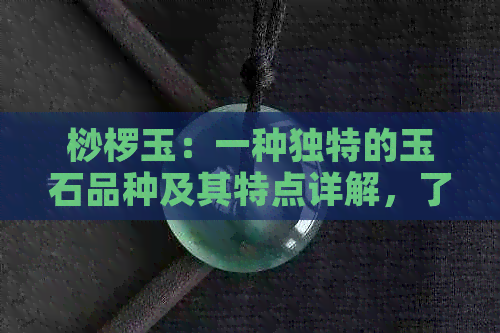 桫椤玉：一种独特的玉石品种及其特点详解，了解它的价值与用途