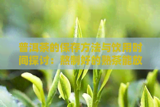 普洱茶的保存方法与饮用时间探讨：熬制好的熟茶能放多久喝？