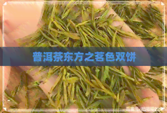 普洱茶东方之茗色双饼