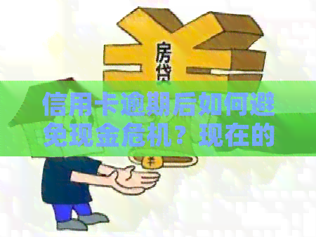 信用卡逾期后如何避免现金危机？现在的解决方案是什么？