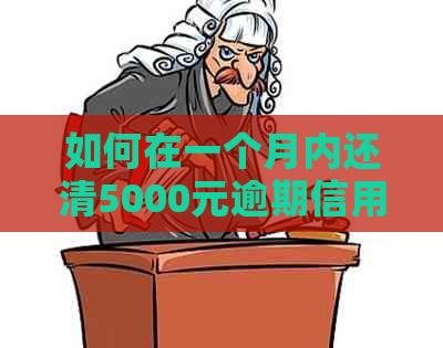 如何在一个月内还清5000元逾期信用卡费用？了解计算方法和相关罚息