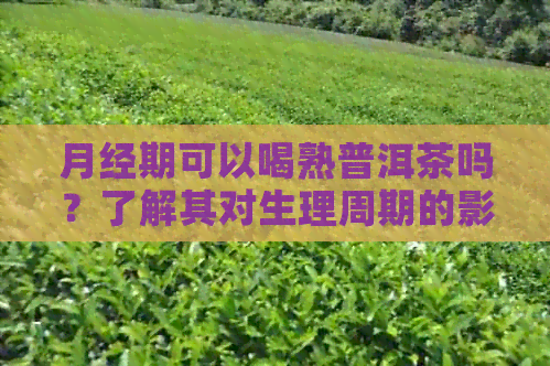 月经期可以喝熟普洱茶吗？了解其对生理周期的影响以及适宜的饮用方法