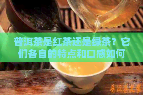 普洱茶是红茶还是绿茶？它们各自的特点和口感如何？哪个更好喝？