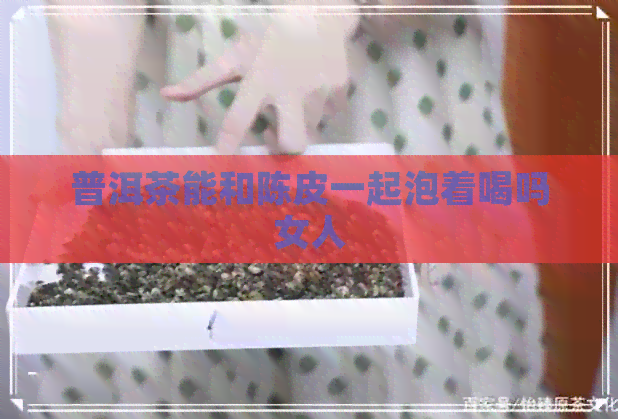 普洱茶能和陈皮一起泡着喝吗女人