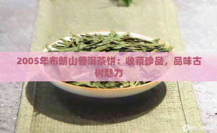 2005年布朗山普洱茶饼：收藏珍品，品味古树魅力