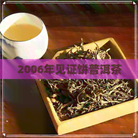 2006年见证饼普洱茶