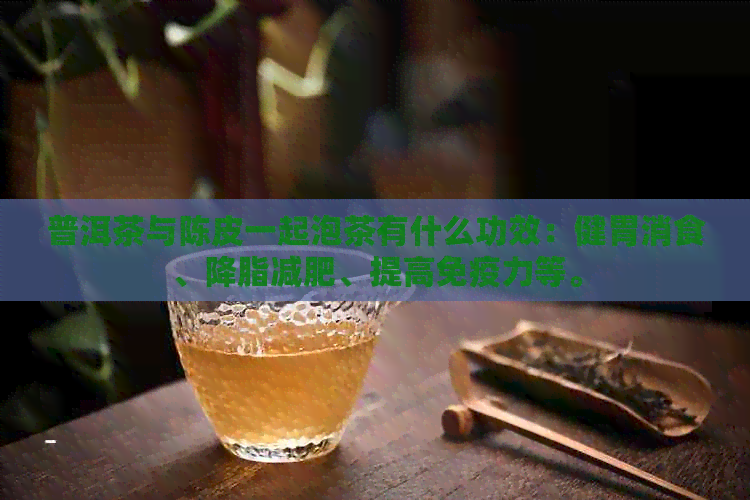 普洱茶与陈皮一起泡茶有什么功效：健胃消食、降脂减肥、提高免疫力等。