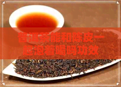 普洱茶能和陈皮一起泡着喝吗功效