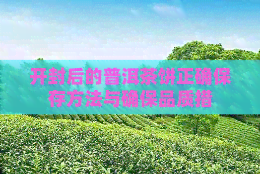 开封后的普洱茶饼正确保存方法与确保品质措