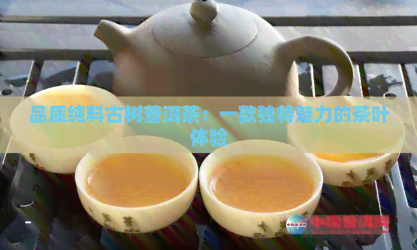 品质纯料古树普洱茶：一款独特魅力的茶叶体验