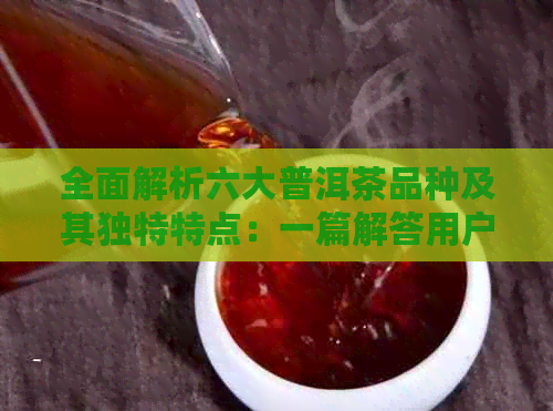 全面解析六大普洱茶品种及其独特特点：一篇解答用户所有疑问的文章