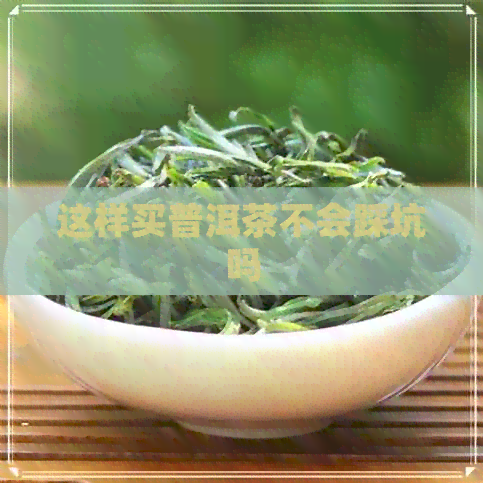 这样买普洱茶不会踩坑吗