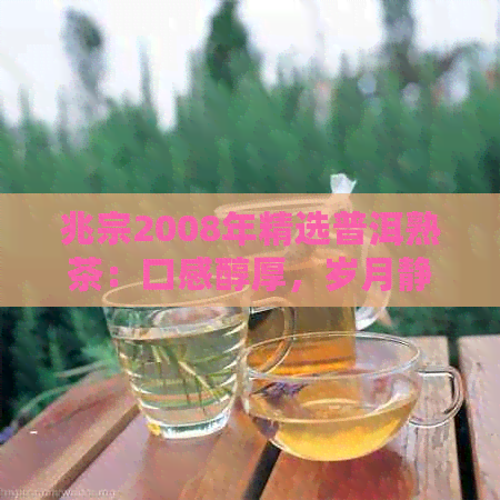 兆宗2008年精选普洱熟茶：口感醇厚，岁月静好之选