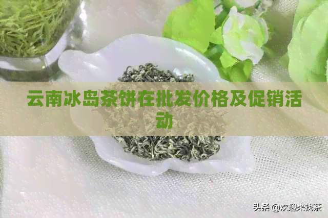 云南冰岛茶饼在批发价格及促销活动