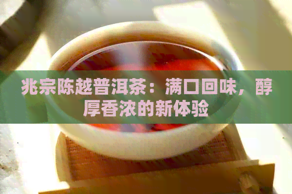 兆宗陈越普洱茶：满口回味，醇厚香浓的新体验