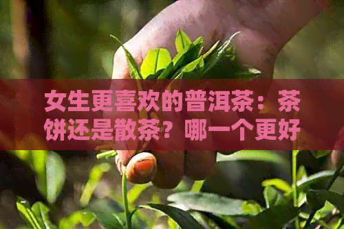 女生更喜欢的普洱茶：茶饼还是散茶？哪一个更好喝？