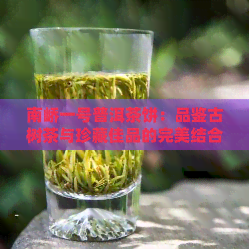 南峤一号普洱茶饼：品鉴古树茶与珍藏佳品的完美结合