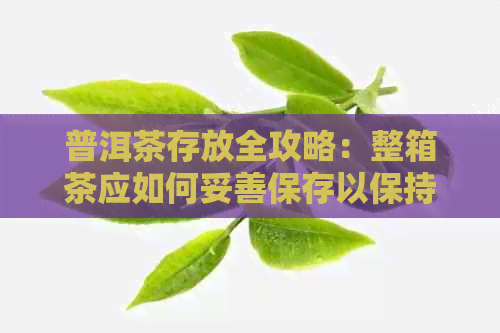 普洱茶存放全攻略：整箱茶应如何妥善保存以保持其品质和味道？