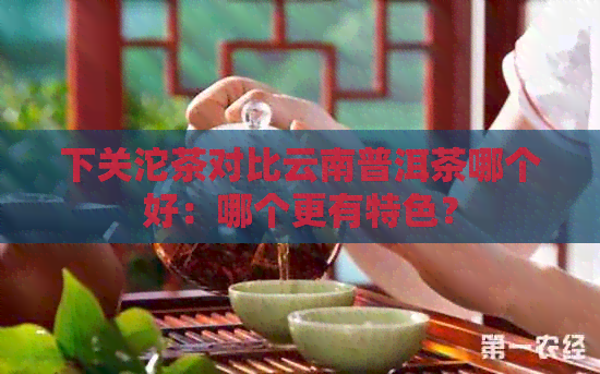 下关沱茶对比云南普洱茶哪个好：哪个更有特色？