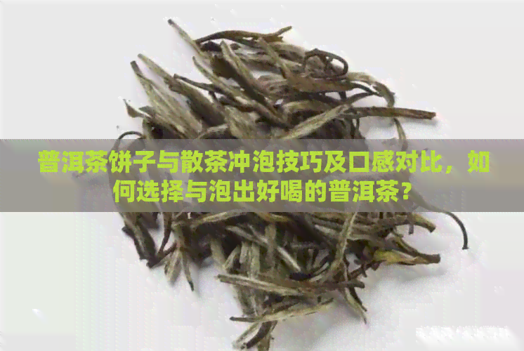 普洱茶饼子与散茶冲泡技巧及口感对比，如何选择与泡出好喝的普洱茶？