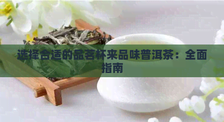 选择合适的品茗杯来品味普洱茶：全面指南