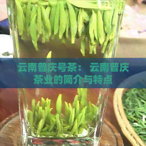 云南普庆号茶： 云南普庆茶业的简介与特点