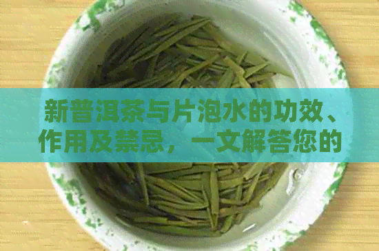 新普洱茶与片泡水的功效、作用及禁忌，一文解答您的疑问