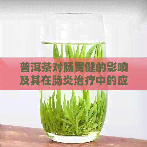 普洱茶对肠胃健的影响及其在肠炎治疗中的应用