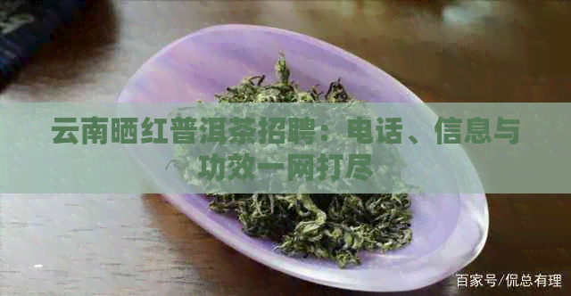 云南晒红普洱茶招聘：电话、信息与功效一网打尽