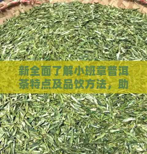 新全面了解小班章普洱茶特点及品饮方法，助您成为茶叶专家